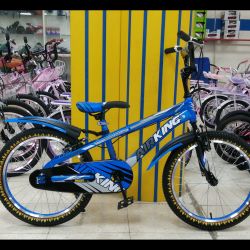 BMX 20 BLUE